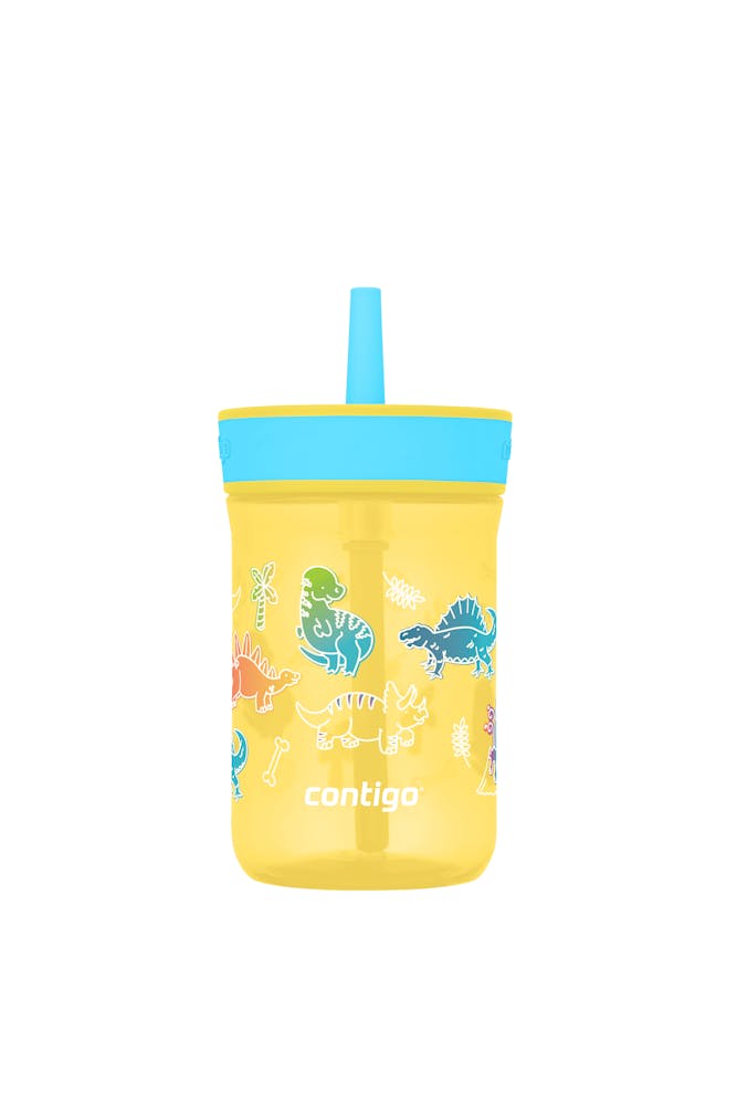 Kids’ Leighton Straw Tumbler with Spill-Proof Leak-Proof Lid, 14oz J9
